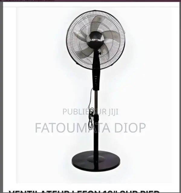 Ventilateur Lefon