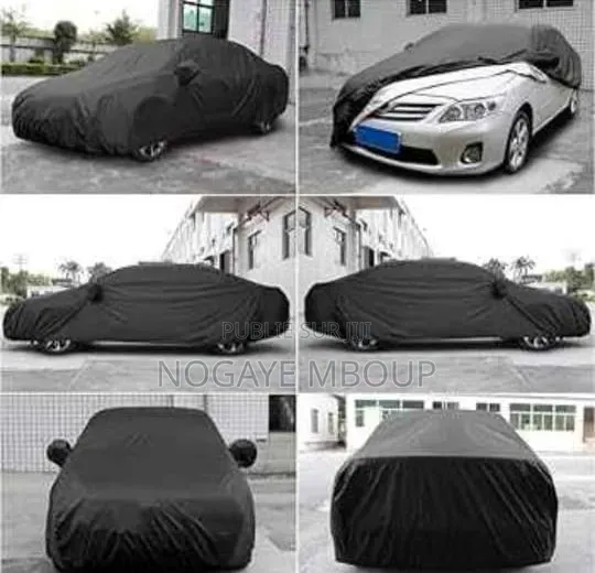 Biche Voiture Auto