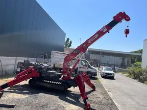 Mini Grue Araignée