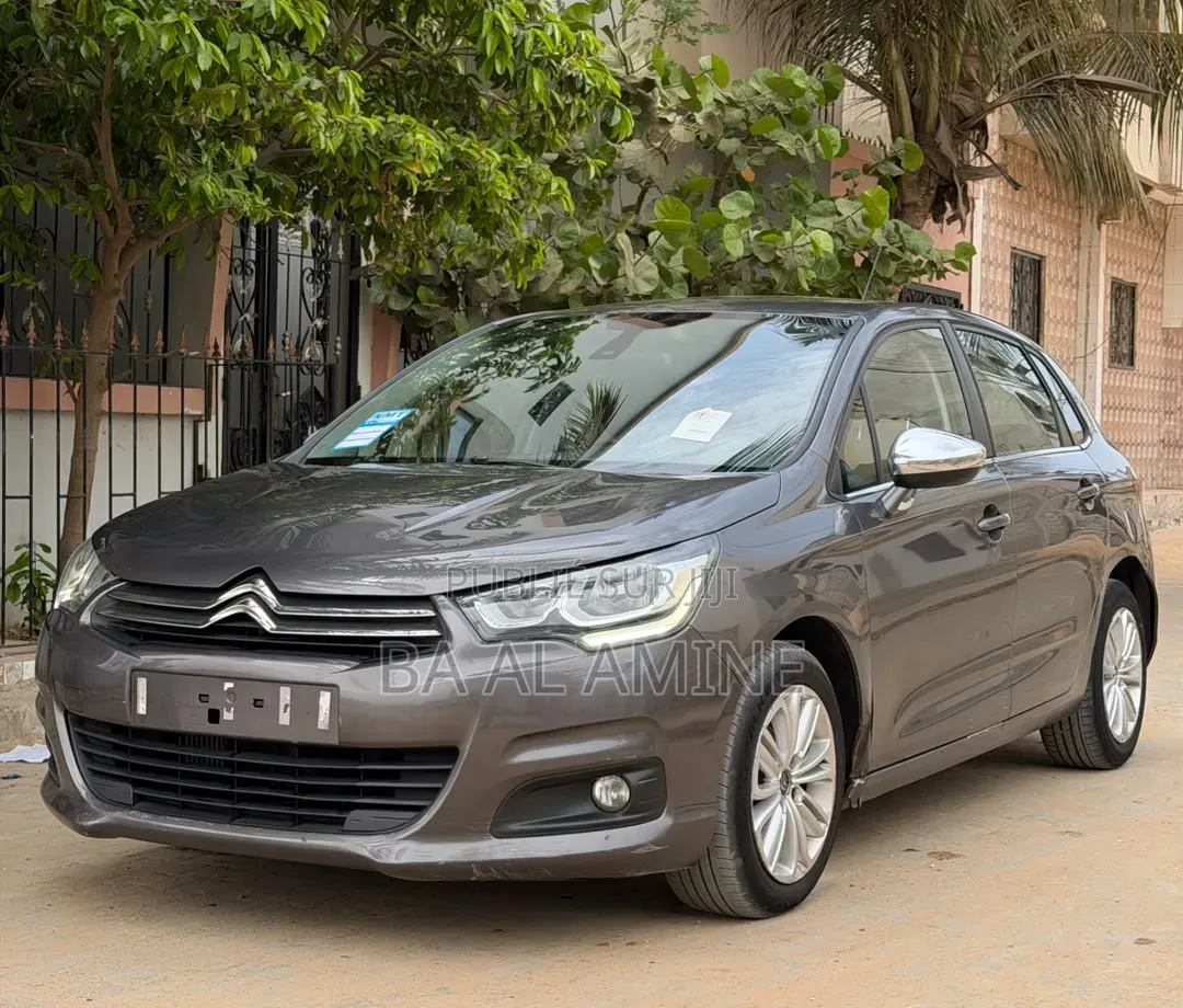 Citroen C4 2016 Gris
