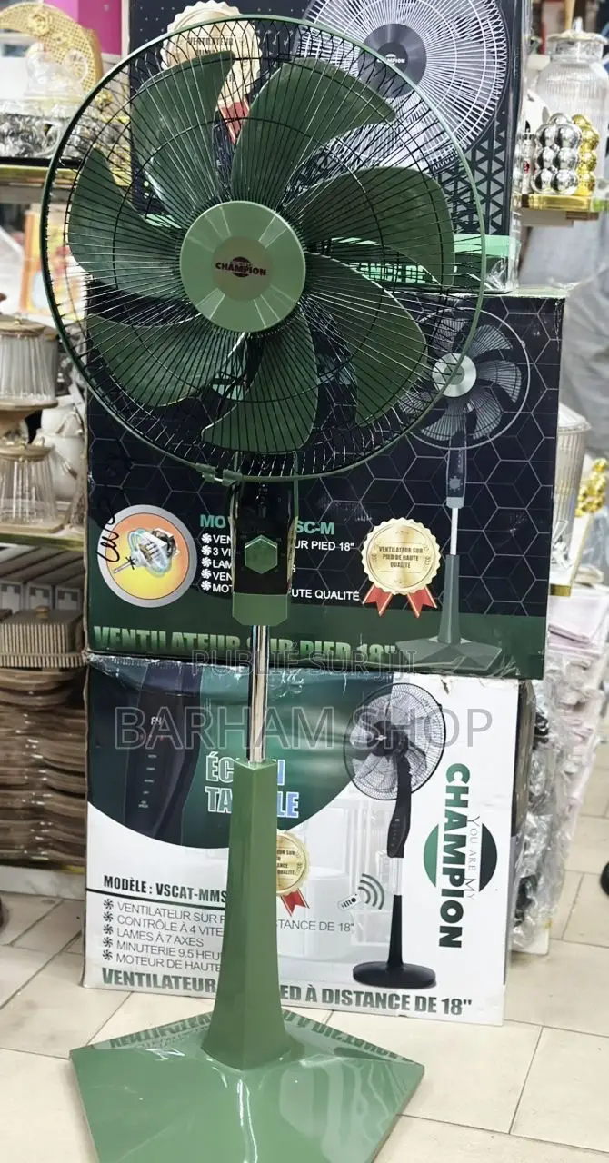 Ventilateur en Vente Livraison Offerte