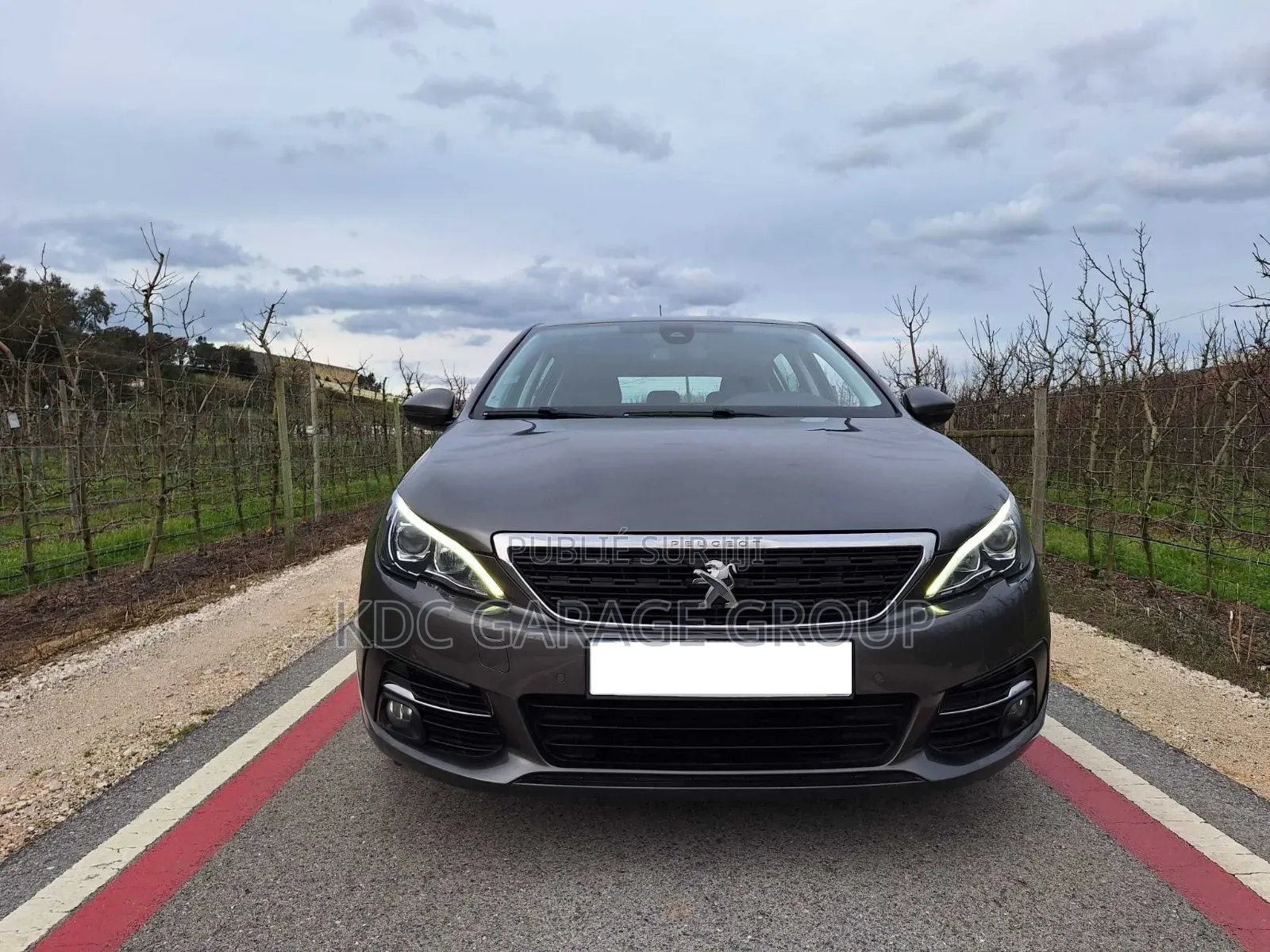 Peugeot 308 2019 Gris