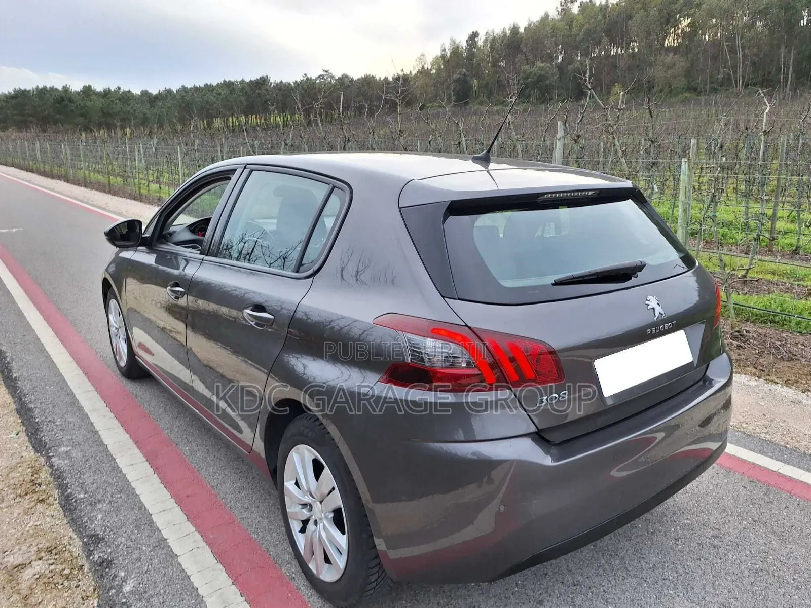 Peugeot 308 2019 Gris