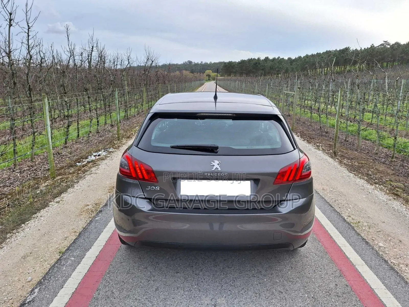 Peugeot 308 2019 Gris