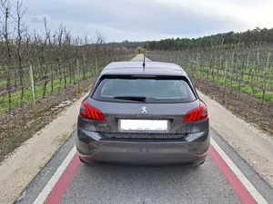 Peugeot 308 2019 Gris