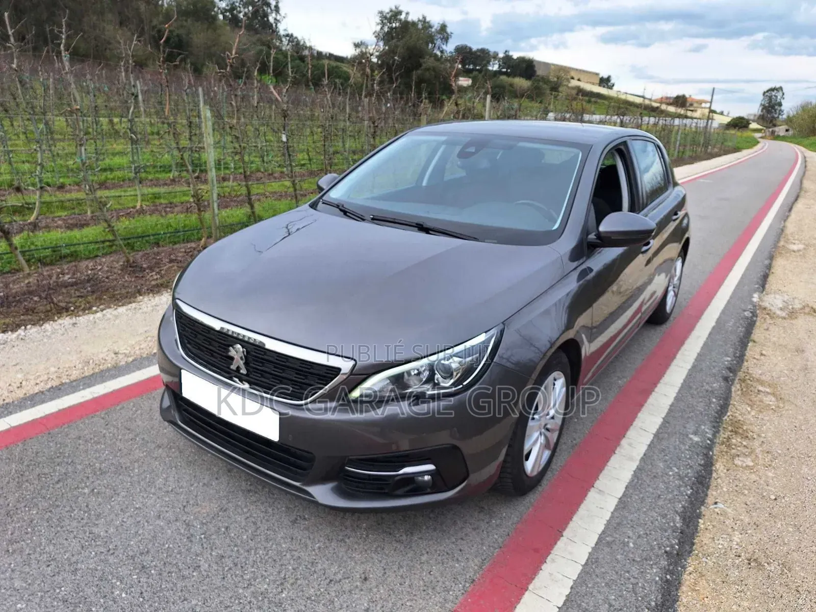 Peugeot 308 2019 Gris