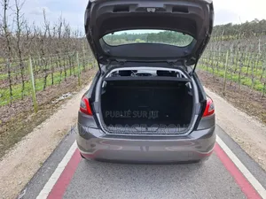 Peugeot 308 2019 Gris