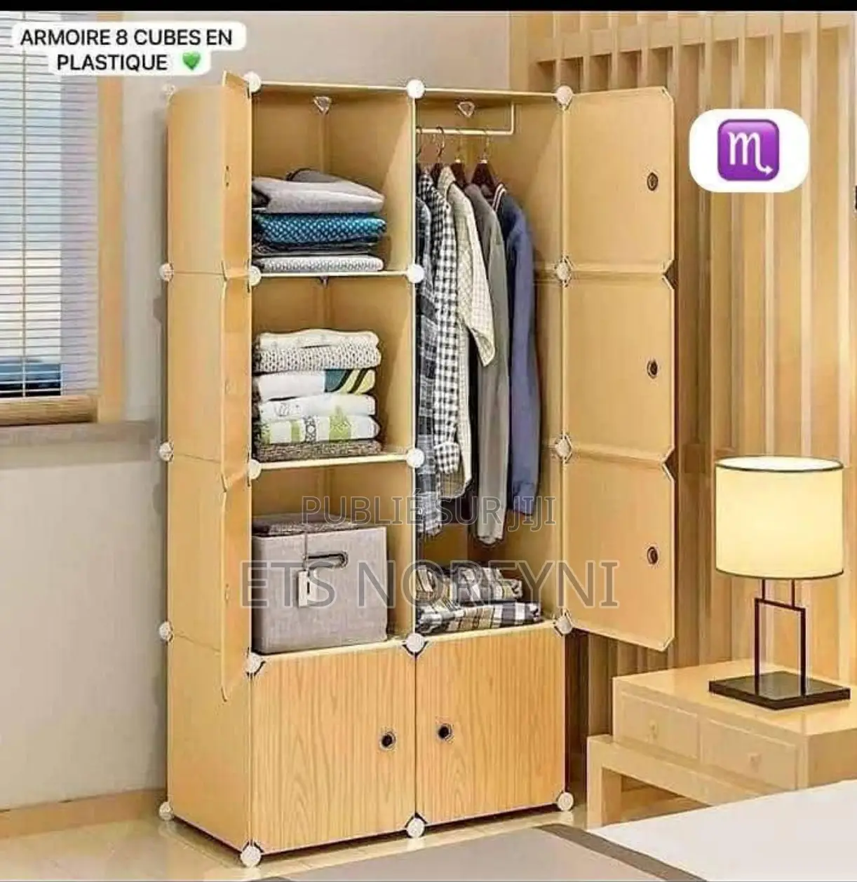 Armoire en Plastique, 2 Battants