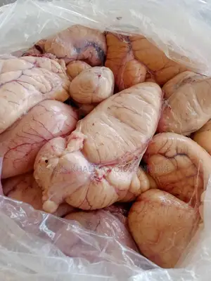 Poisson Pêche Du Jour