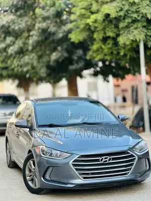 Hyundai Elantra 2018 Gris