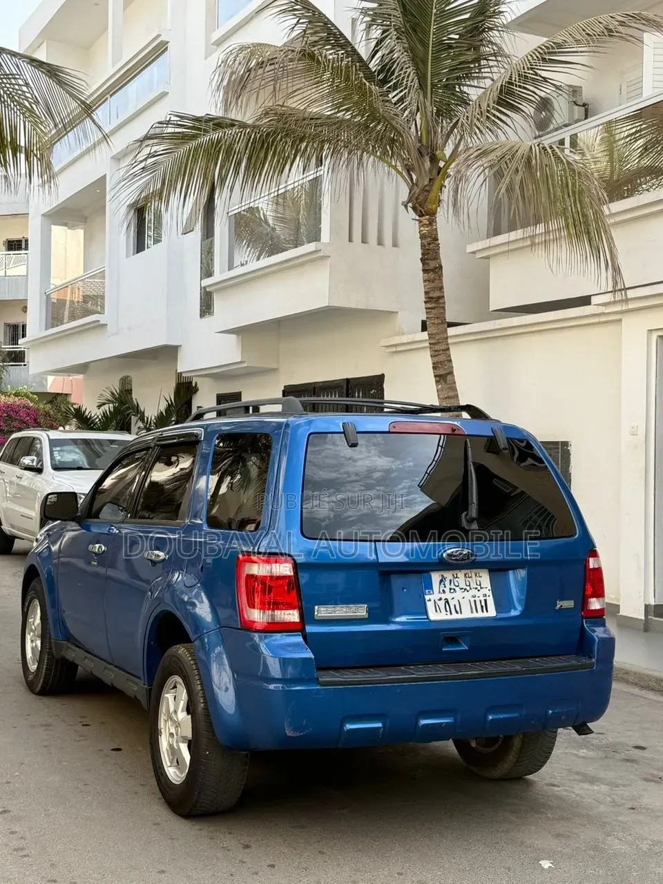 Ford Escape 2012 Bleu
