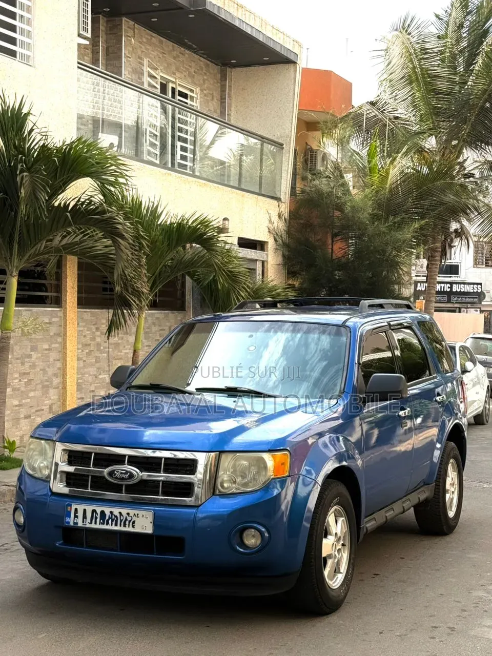 Ford Escape 2012 Bleu