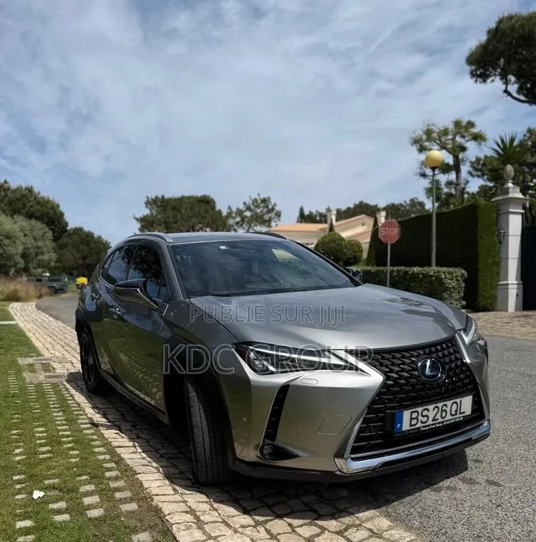 Lexus UX 2019 Autre