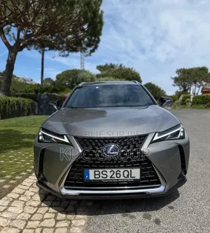 Lexus UX 2019 Autre