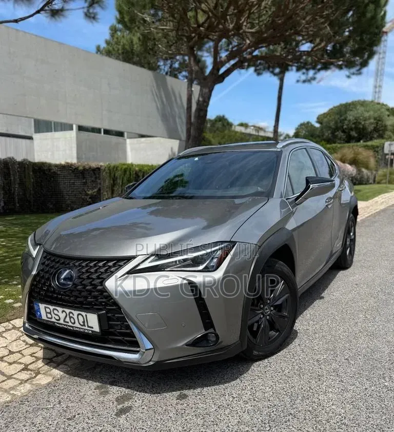 Lexus UX 2019 Autre
