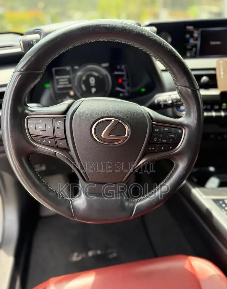 Lexus UX 2019 Autre