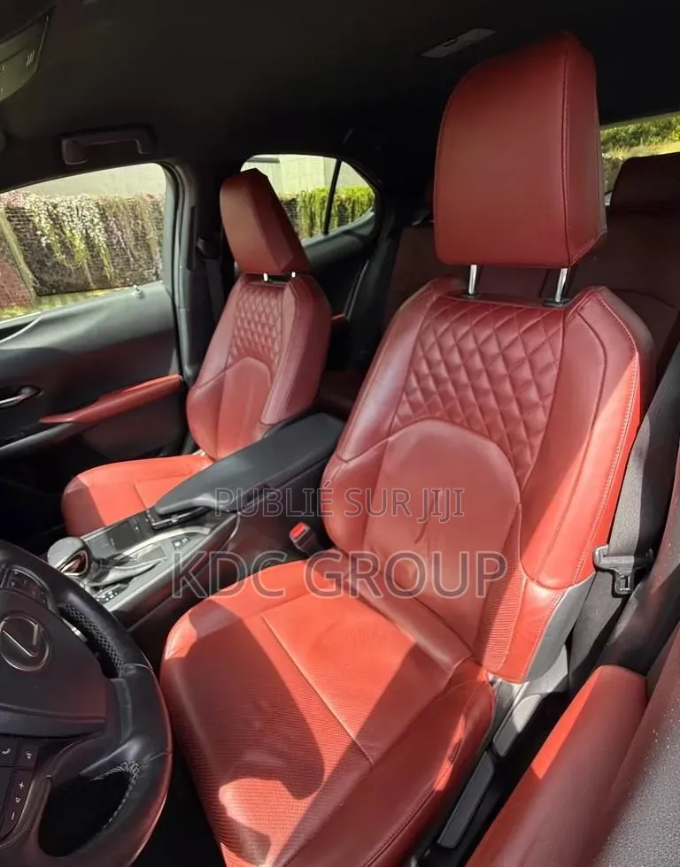 Lexus UX 2019 Autre