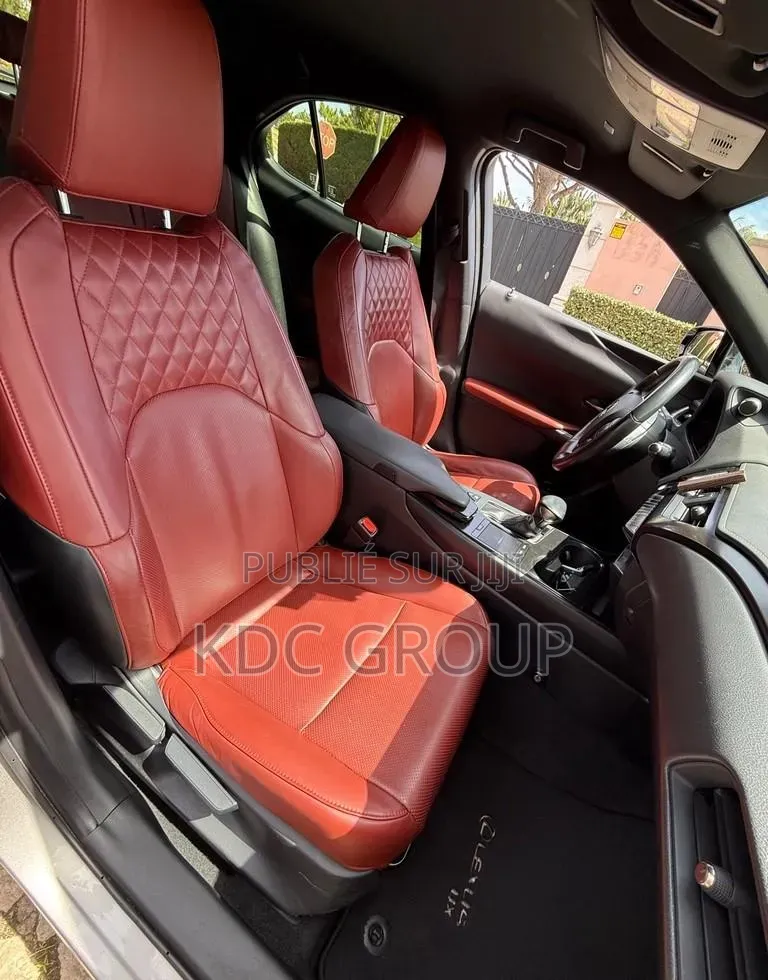 Lexus UX 2019 Autre