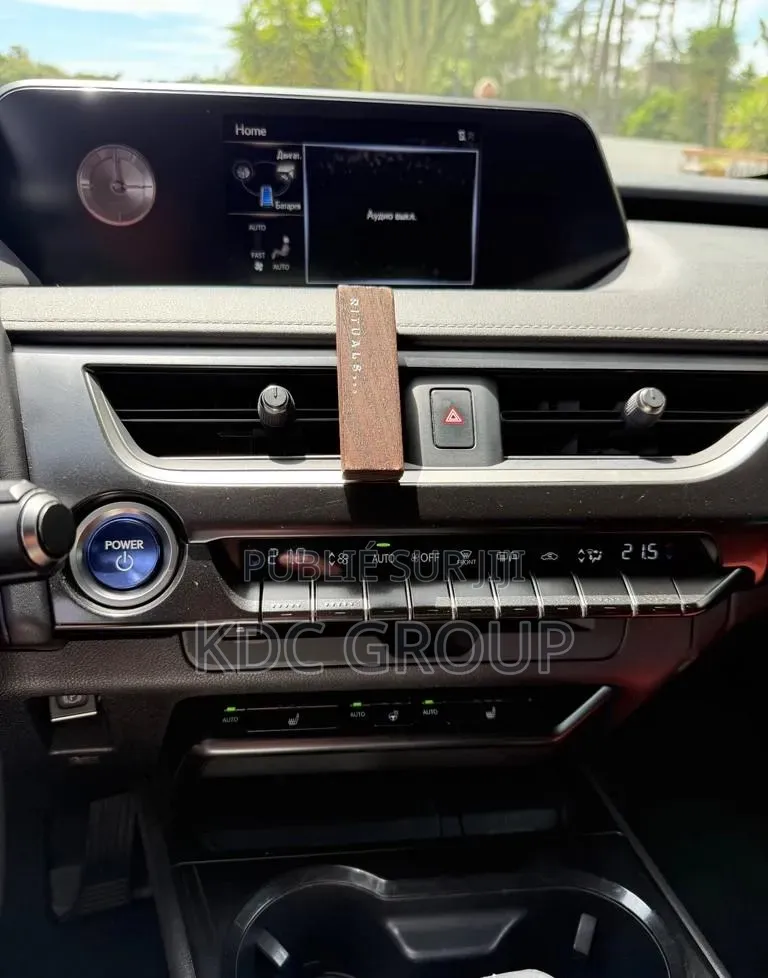 Lexus UX 2019 Autre