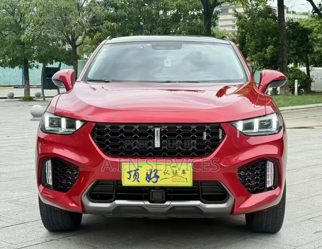 Wey VV5 2019 Rouge