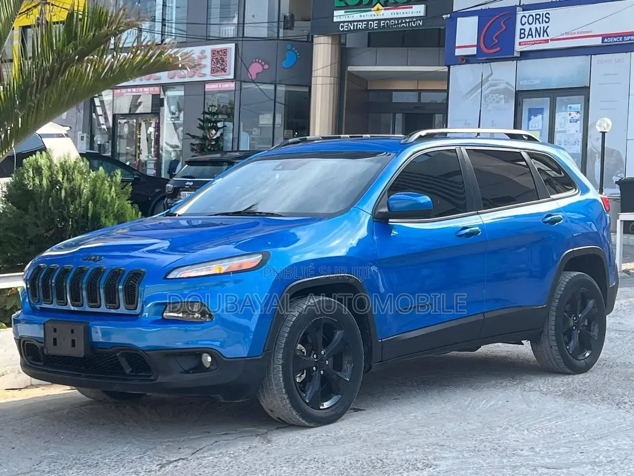 Jeep Cherokee 2018 Bleu