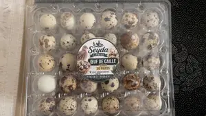 Œuf De Caille Frais