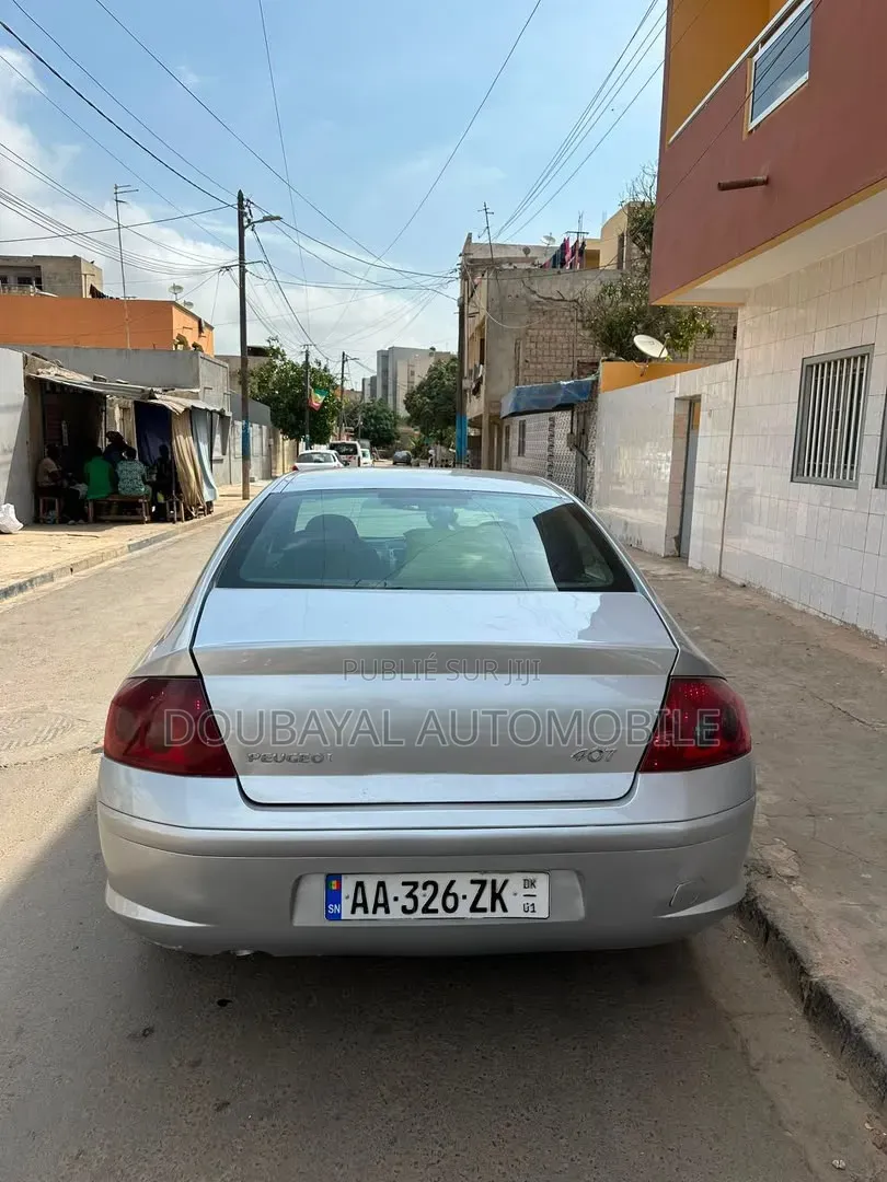 Peugeot 407 2007 Gris