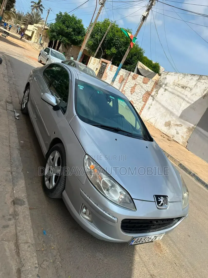 Peugeot 407 2007 Gris