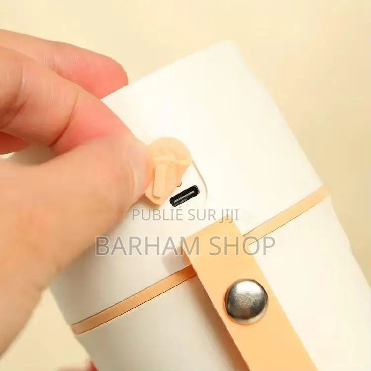 Mixeur Portable Rechargeable