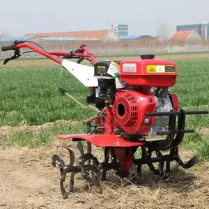 Motoculteur 7hp