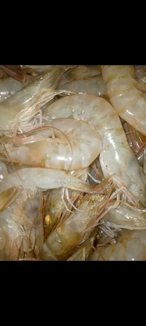 Crevettes Séchée