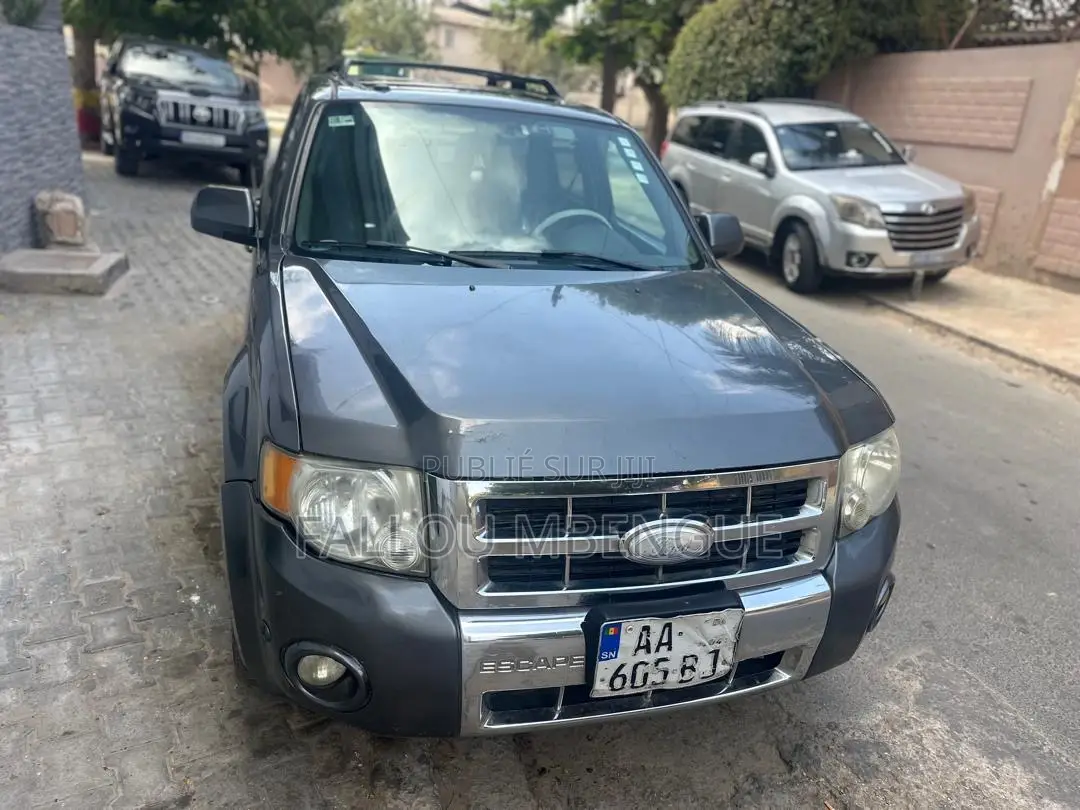 Ford Escape 2012 Gris