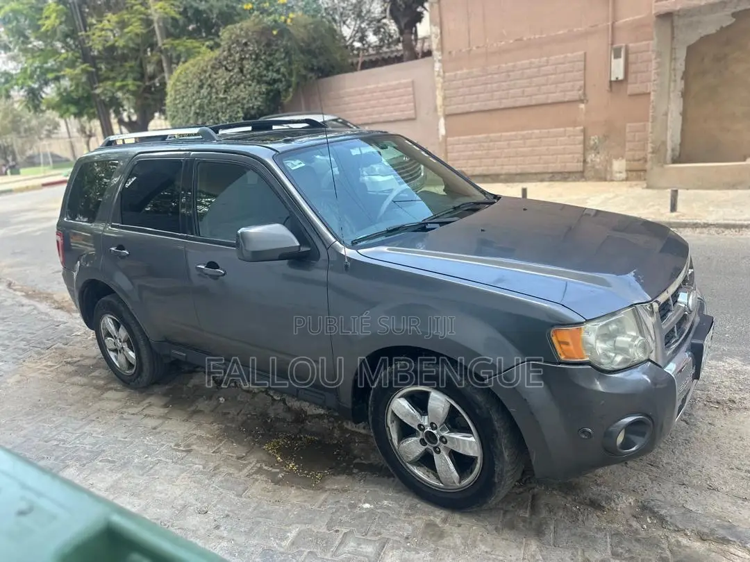 Ford Escape 2012 Gris