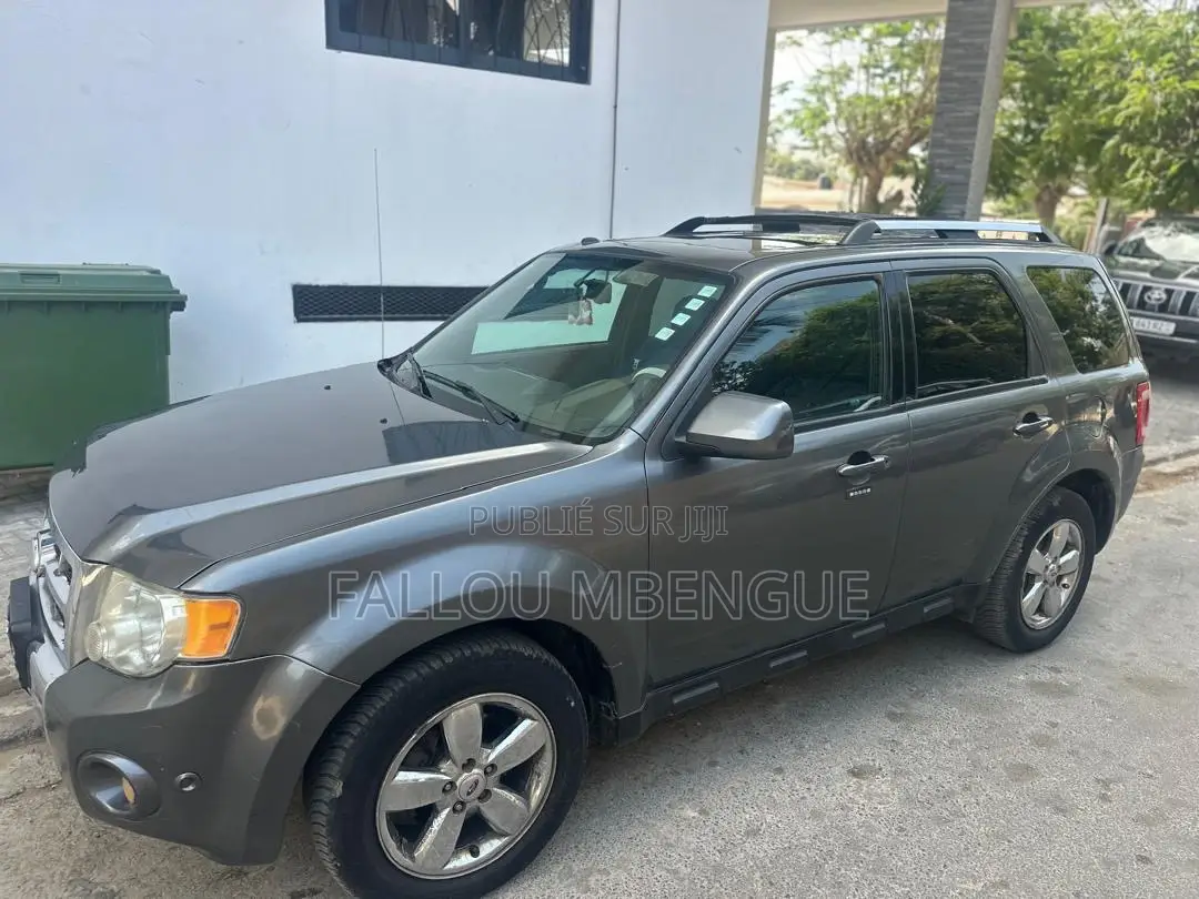 Ford Escape 2012 Gris