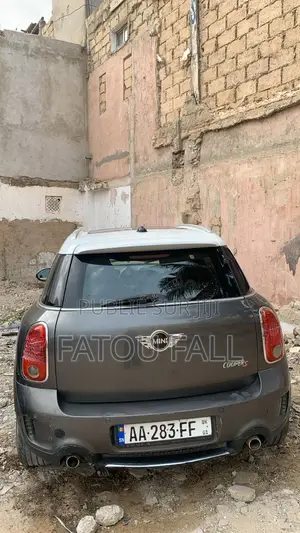 Mini Mini 2013 Gris