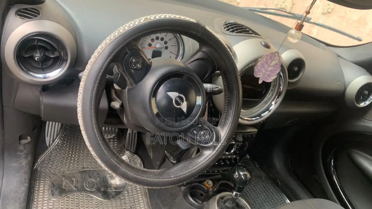 Mini Mini 2013 Gris