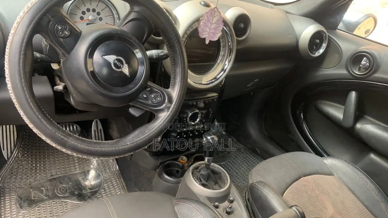 Mini Mini 2013 Gris