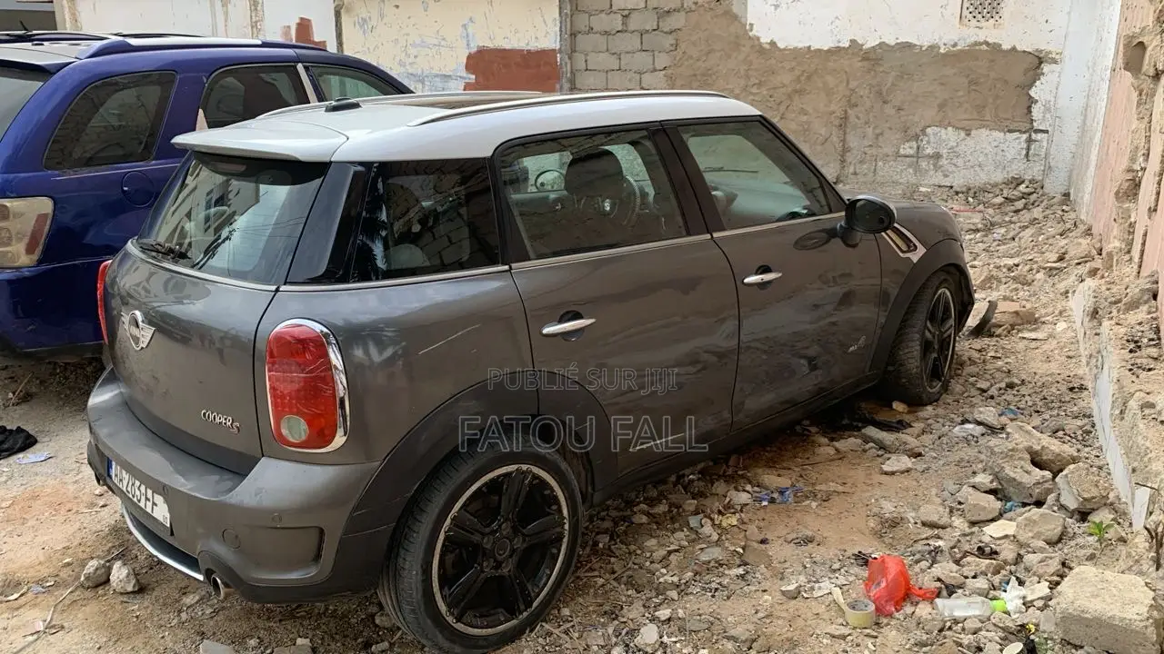 Mini Mini 2013 Gris