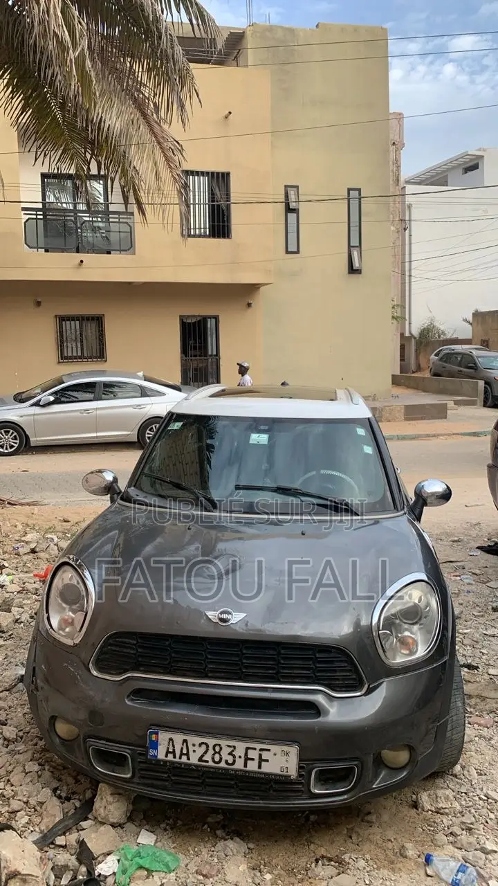 Mini Mini 2013 Gris
