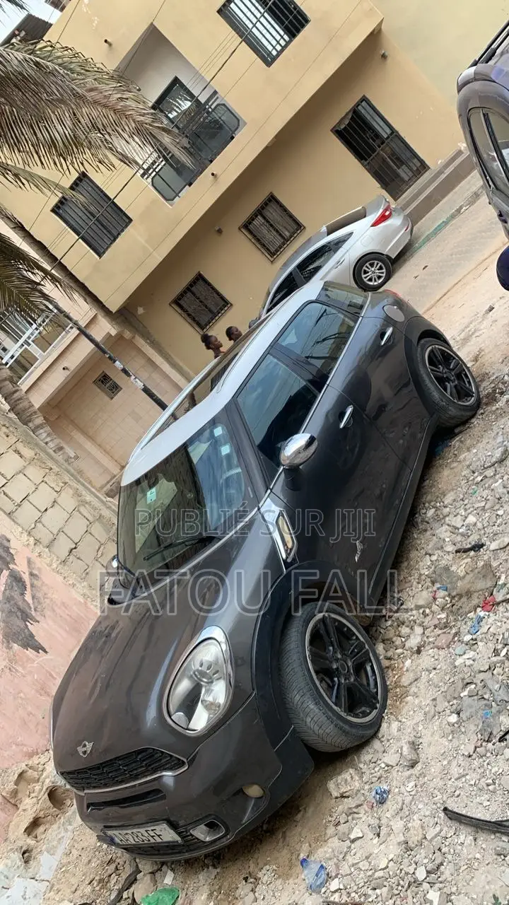 Mini Mini 2013 Gris