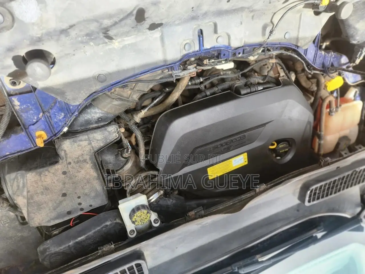 Ford Escape SE 4dr SUV (1.6L 4cyl Turbo 6A) 2014 Bleu