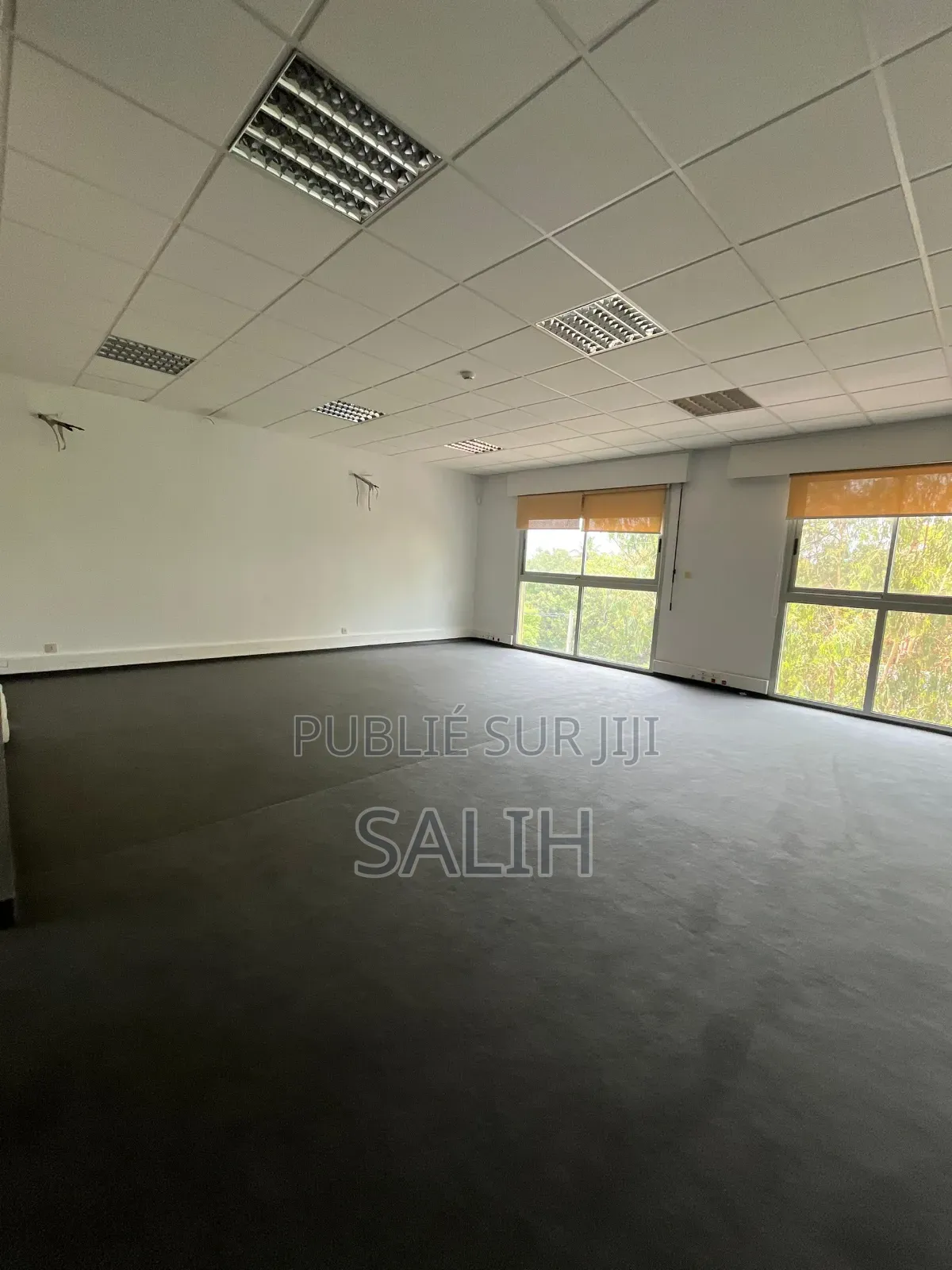 Villa À Usage De Bureaux
