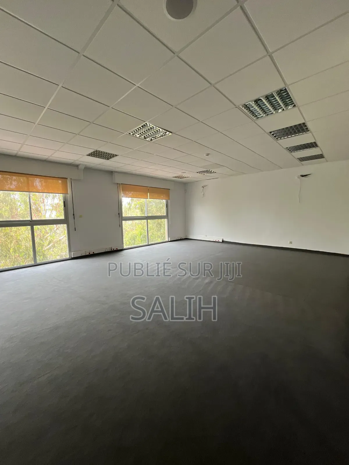Villa À Usage De Bureaux