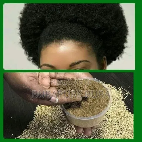 Poudre De Chébé 50 G