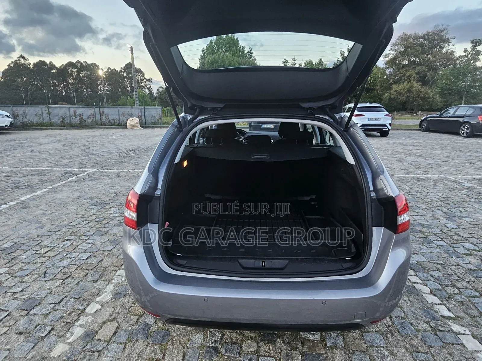 Peugeot 308 2020 Gris