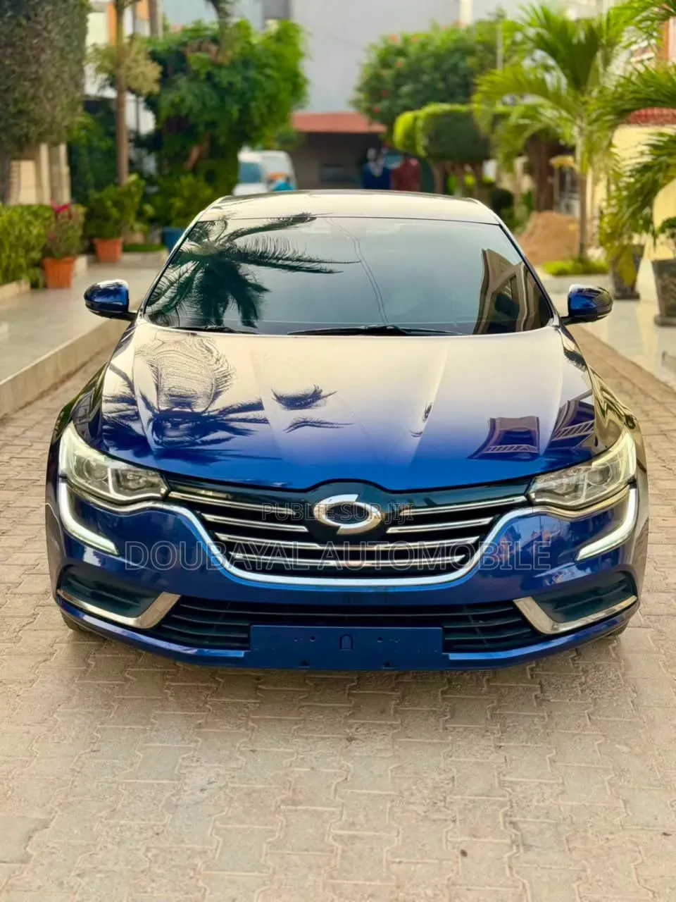Renault Samsung SM6 2017 Bleu