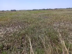 Terrain Agricole De 2,06 Hectares Vers Diama – Saint-Louis