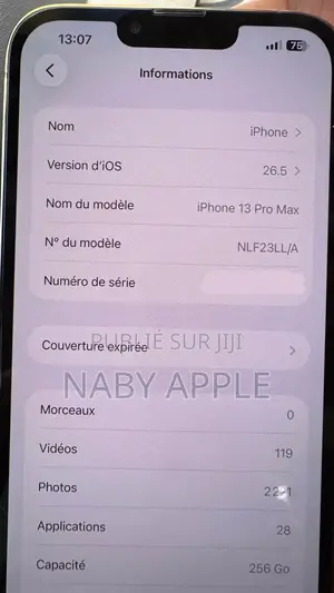 Nouveau Apple iPhone 13 Pro Max 1 TB Blanc