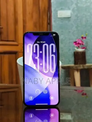 Nouveau Apple iPhone 12 Pro Max 256 GB Noir