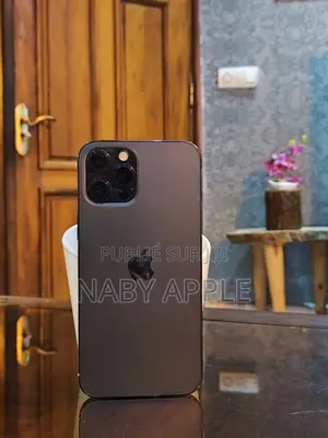 Nouveau Apple iPhone 12 Pro Max 256 GB Noir